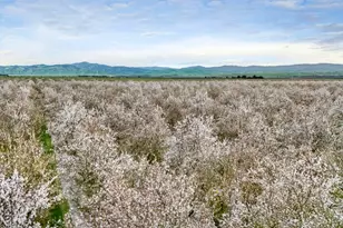 3320 W Durham Ferry Rd, Tracy, CA 95304 - Photo 71