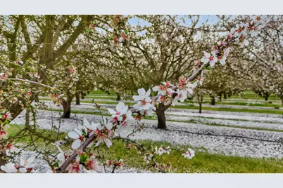 3320 W Durham Ferry Road, Tracy, CA 95304 - Photo 73