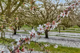 3320 W Durham Ferry Rd, Tracy, CA 95304 - Photo 73