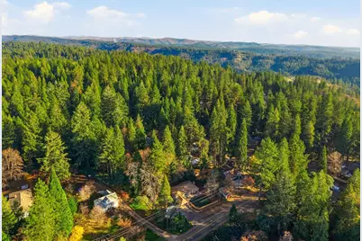 2917 Mace Road, Camino, CA 95709 - Photo 43