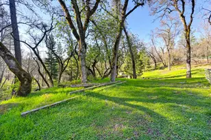 805 Country Rd, Meadow Vista, CA 95722 - Photo 63