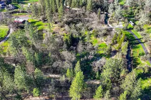 805 Country Rd, Meadow Vista, CA 95722 - Photo 79