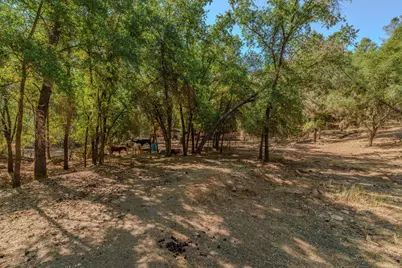 2988 Spring Hill Drive, San Andreas, CA 95249 - Photo 65
