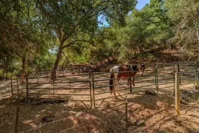 2988 Spring Hill Drive, San Andreas, CA 95249 - Photo 67