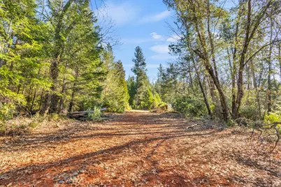 21235 Spring Garden Road, Foresthill, CA 95631 - Photo 9