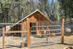 4710 Wandering Way, Camino, CA 95709 - Photo 39