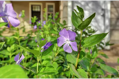 12383 Rough and Ready Highway, Grass Valley, CA 95945 - Photo 57