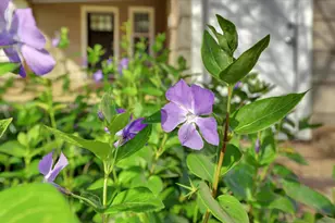 12383 Rough and Ready Hwy, Grass Valley, CA 95945 - Photo 57