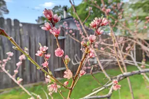 12383 Rough and Ready Hwy, Grass Valley, CA 95945 - Photo 55