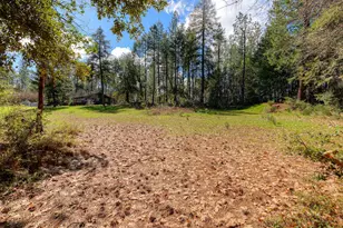 712 Bloomer Hill Rd, Berry Creek, CA 95916 - Photo 35