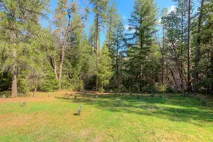 712 Bloomer Hill Rd, Berry Creek, CA 95916 - Photo 33