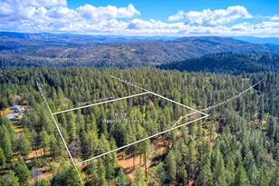 712 Bloomer Hill Rd, Berry Creek, CA 95916 - Photo 49