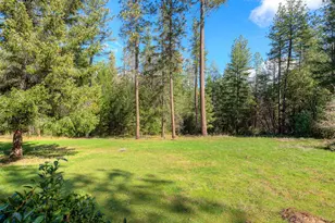 712 Bloomer Hill Rd, Berry Creek, CA 95916 - Photo 7