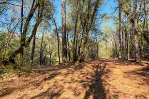 179 Elams Ranch Rd, Oroville, CA 95966 - Photo 47