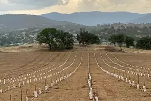 739 E Oberlin Rd, Yreka, CA 96097 - Photo 3