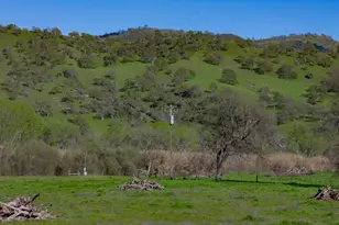 17000 County Road 52, Guinda, CA 95637 - Photo 59