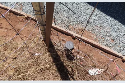 4817 Sciaroni Road, Grizzly Flats, CA 95636 - Photo 13