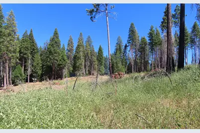 4817 Sciaroni Road, Grizzly Flats, CA 95636 - Photo 23