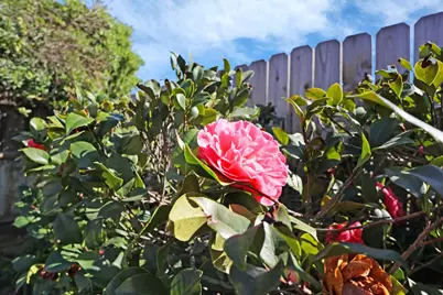 724 Adare Way, Galt, CA 95632 - Photo 41