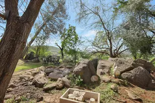 6419 Marysville Rd, Browns Valley, CA 95918 - Photo 61