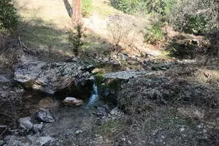 6145 Swiss Ranch Rd, Mountain Ranch, CA 95246 - Photo 67