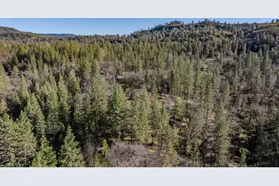 6145 Swiss Ranch Road, Mountain Ranch, CA 95246 - Photo 71