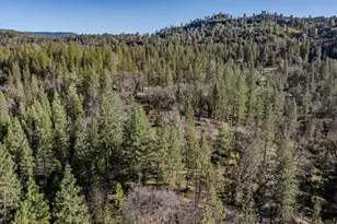 6145 Swiss Ranch Rd, Mountain Ranch, CA 95246 - Photo 71