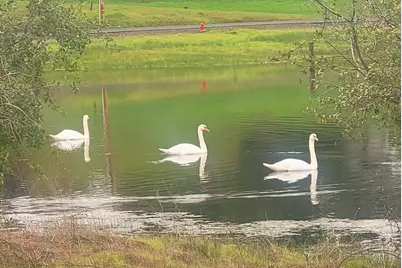 3270 Stagecoach Road, Placerville, CA 95667 - Photo 43