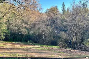 578 Greenwood Dr, Meadow Vista, CA 95722 - Photo 59