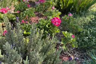 2056 Elwin Way, Modesto, CA 95350 - Photo 27