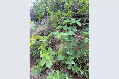 6600 Prospectors Road, Lotus, CA 95651 - Photo 9