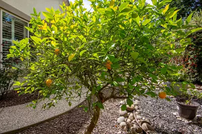 1885 Laurelhurst Lane, Lincoln, CA 95648 - Photo 41