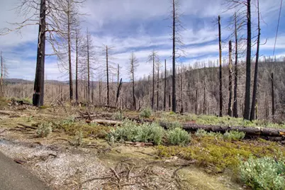 5308 Wooded Glen Road, Grizzly Flats, CA 95636 - Photo 17