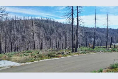 5308 Wooded Glen Road, Grizzly Flats, CA 95636 - Photo 5