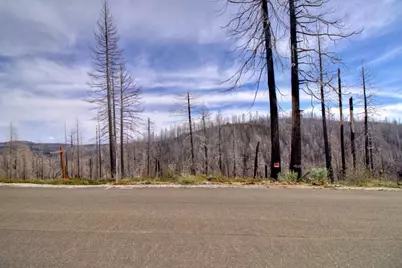 5308 Wooded Glen Road, Grizzly Flats, CA 95636 - Photo 15