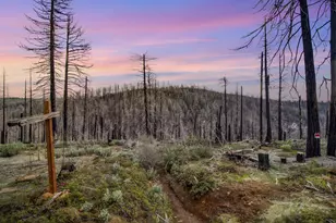 5308 Wooded Glen Rd, Grizzly Flats, CA 95636 - Photo 1