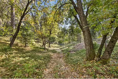 22080 Fiddletown Road, Volcano, CA 95689 - Photo 81