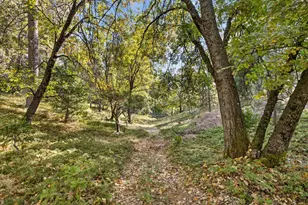 22080 Fiddletown Rd, Volcano, CA 95689 - Photo 81