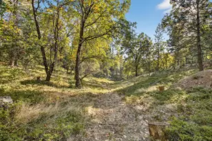 22080 Fiddletown Rd, Volcano, CA 95689 - Photo 63