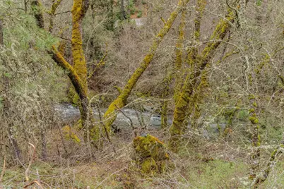 21655 Highway 26, West Point, CA 95255 - Photo 37