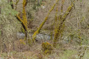 21655 Hwy 26, West Point, CA 95255 - Photo 37