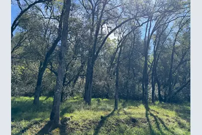 1001 Old Airport Road, Auburn, CA 95603 - Photo 3