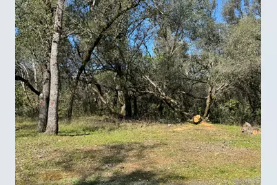 1001 Old Airport Road, Auburn, CA 95603 - Photo 5