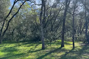 1001 Old Airport Rd, Auburn, CA 95603 - Photo 1