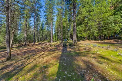 16094 Countrywood, Nevada City, CA 95959 - Photo 9
