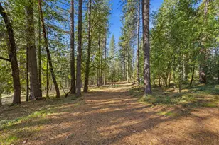16094 Countrywood, Nevada City, CA 95959 - Photo 1