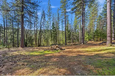 16094 Countrywood, Nevada City, CA 95959 - Photo 5
