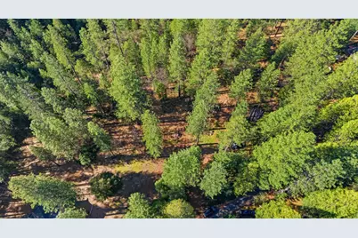 16094 Countrywood, Nevada City, CA 95959 - Photo 23