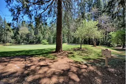1146 Buckthorn Drive, Murphys, CA 95247 - Photo 27