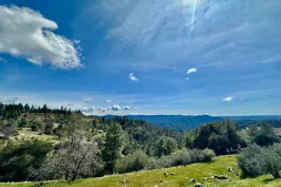 1146 Buckthorn Dr, Murphys, CA 95247 - Photo 1